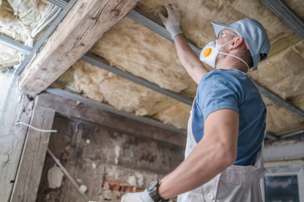 Best Specialty Insulation in Crystal Springs, MS