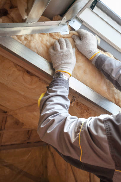 Best Insulation Installation Services in Crystal Springs, MS