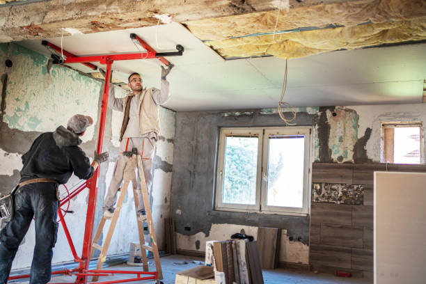 Best Insulation Maintenance and Repair in Crystal Springs, MS